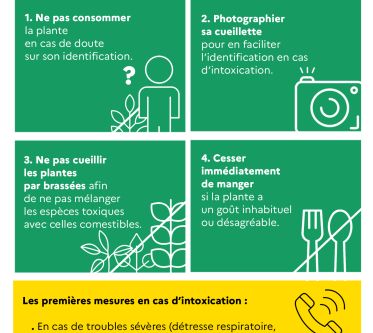 Infographie Infographie